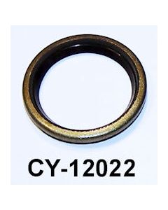 CY12022